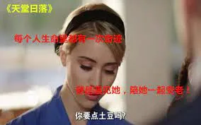 大饼卷一切